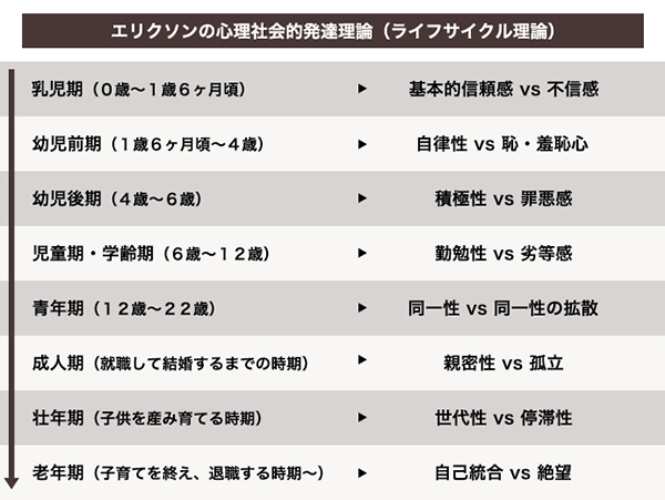 理論 エリクソン の 発達