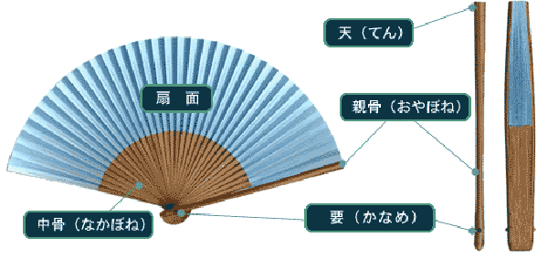 扇子は実はアクセサリーだった 意外と知らない扇子の歴史 正しい使い方をご紹介 将棋コラム 日本将棋連盟