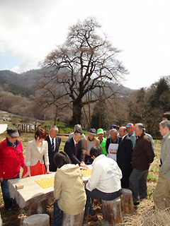 komazakura_shidou_20120412-01.jpg