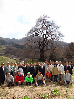 komazakura_shidou_20120412-02.jpg