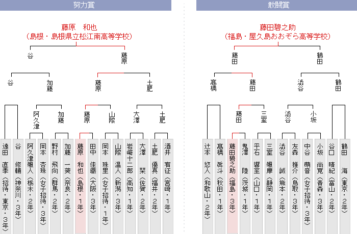 トーナメント表