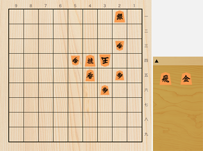 詰め将棋11冊など。 11手~15手詰パラダイス 四段以上の力をつける200題 (マイナビ
