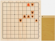 2018年2月25日の詰将棋（中村修作、9手詰）