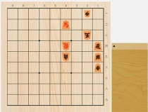 2022年2月13日の詰将棋（及川拓馬作、9手詰）
