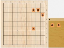 2023年6月9日の詰将棋（5手詰）