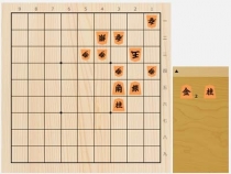 2023年7月22日の詰将棋（塚田泰明作、11手詰）