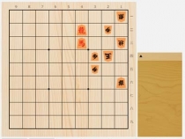 2023年8月13日の詰将棋（森信雄作、9手詰）