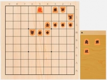 2024年6月1日の詰将棋（瀬戸博晴作、11手詰）
