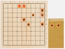 2024年6月29日の詰将棋（塚田泰明作、9手詰）