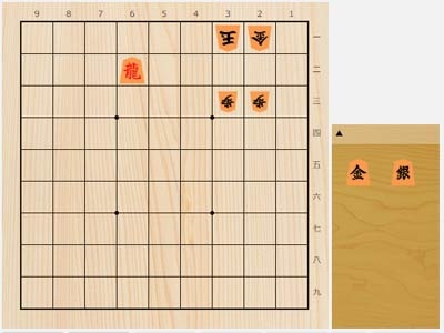 詰め将棋11冊など。 詰め将棋11冊など。 詰め将棋11冊など。