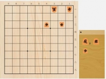2025年5月3日の詰将棋（今泉健司作、11手詰）