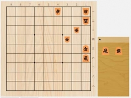 2025年5月17日の詰将棋（中田章道作、9手詰）