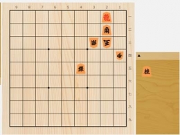 2025年5月19日の詰将棋（3手詰）