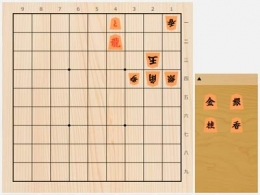 2025年5月24日の詰将棋（屋敷伸之作、9手詰）