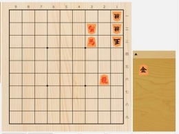 2025年5月29日の詰将棋（3手詰）