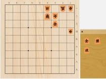 2025年11月3日の詰将棋（田中寅彦作、11手詰）