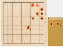 2025年11月30日の詰将棋（北浜健介作、9手詰）