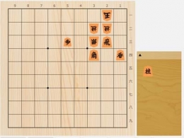 2025年12月13日の詰将棋（酒井順吉作、11手詰）