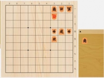2025年12月27日の詰将棋（児玉孝一作、11手詰）