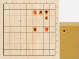 2026年5月10日の詰将棋（今泉健司作、9手詰）